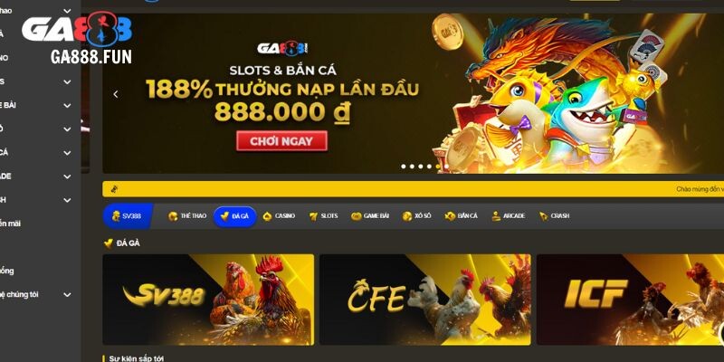 Tong Quan Ve Cac Diem Manh Cua Nha Cai
